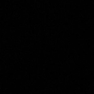 Meet your Posher, ChirÃ©le